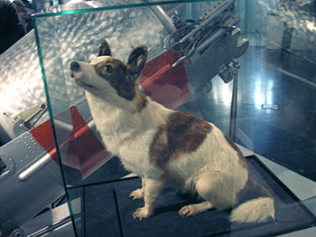 Strelka